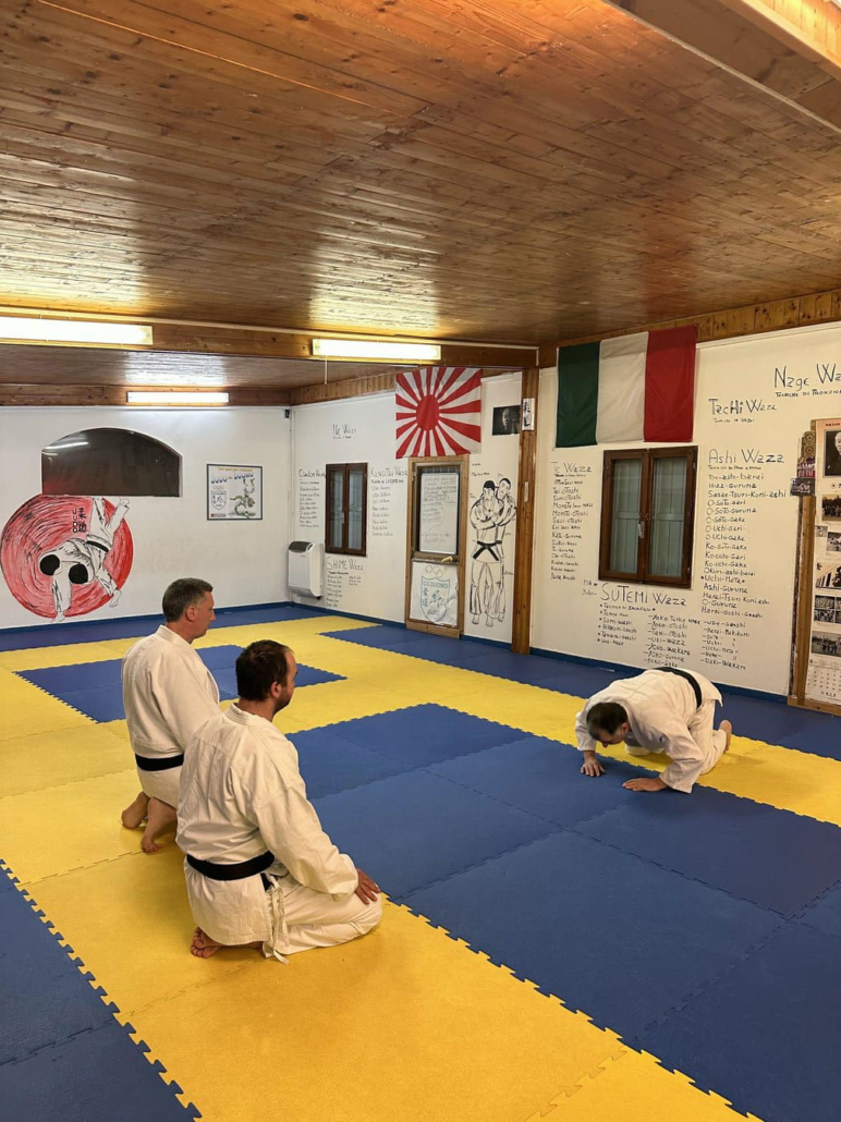 ju-jitsu-foto-9